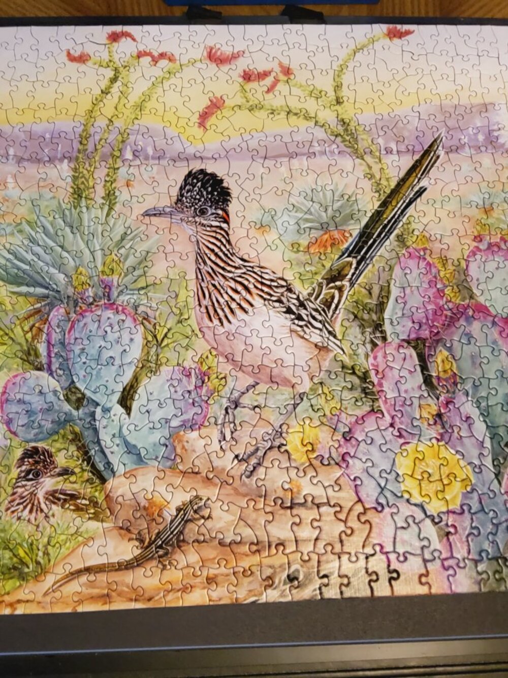Cornell Lab of Ornithology Greater Roadrunner 500 Piece Jigsaw Puzzle Vera Ting - Picture 2 of 6